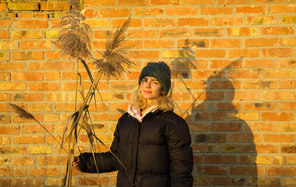 портрет молодой красивой женщины в теплой вязаной шляпе и куртке на фоне желтой кирпичной стены. держит в руке несколько длинных сухих пушистых тростников. освещаемые ярким солнечным светом и тенями - Фото, изображение