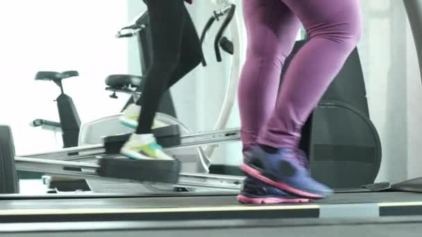 Close up Foot Fitness Mujer asiática corriendo en la cinta de correr y otros ejercicios en la cruz elíptica horizontal, entrenamiento cardiovascular en el gimnasio - Imágenes, Vídeo