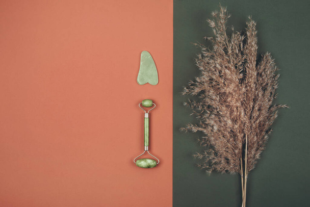 Green face jade roller and gua sha massager with Pampas dry grass over terracotta red and green background. Copy space. - Photo, Image