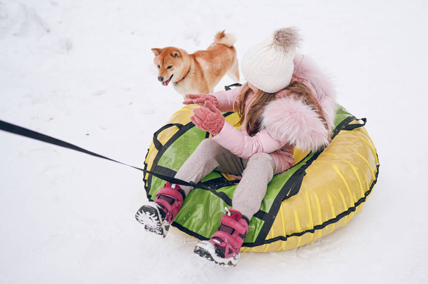 Niña linda en ropa de abrigo rosa divertirse con shiba inu rojo perro paseos inflable tubo de nieve en nieve blanco frío invierno al aire libre. Deportes de familia actividades de vacaciones - Foto, imagen