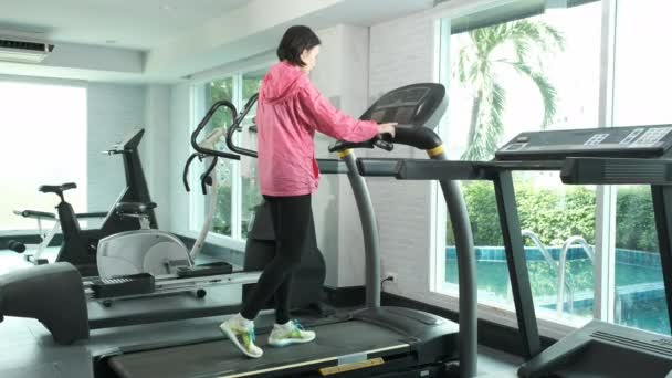 Pembe paltolu Asyalı kadın ısınmaya başlıyor koşu bandında yürüyor, spor salonunda maraton antrenmanı yapıyor. - Video, Çekim