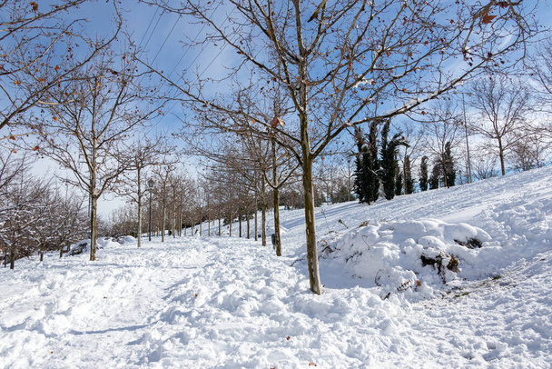 Madrid, Spagna- 9 gennaio 2021: Parchi di Madrid ghiacciati dalla neve, Storm Filomena. Grande nevicata a Madrid. Auto innevate. - Foto, immagini