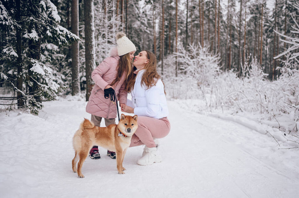 Happy family young mother and little cute girl in pink warm outwear walking having fun with red shiba inu dog in snowy white cold winter forest outdoors. Family sport vacation activities - Photo, Image