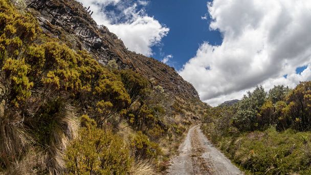 Landschap in Los Nevados National Natural Park in Colombië. Nevado de Santa Isabel en Nevado del Ruiz.  - Foto, afbeelding