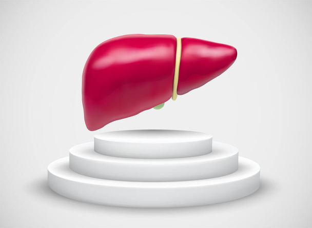vector liver on top of a pedestal on a white background - Вектор,изображение