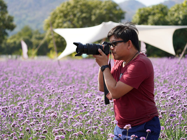 мужчина фотографируется с камерой в фиолетовом цветнике вербены - Фото, изображение