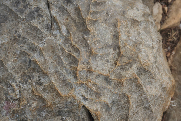 primo piano di roccia calcarea beige con forma e consistenza che assomiglia a cresta di montagna pieghevole - Foto, immagini