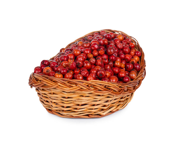Baya roja de fruta india también conocida como Bor, Bora o Bore - Foto, Imagen