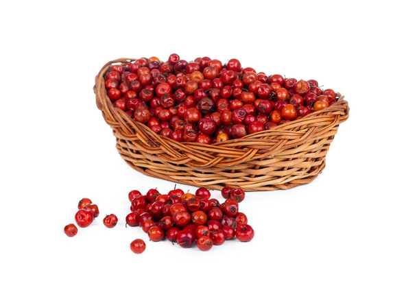 Indian Fruit Red Berry Also Know as Bor, Bora or Bore - Φωτογραφία, εικόνα