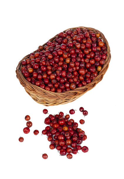 Indiai gyümölcs piros bogyó is ismert, mint Bor, Bora vagy unalom - Fotó, kép