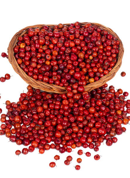 Indische Frucht Rote Beeren auch als Bor, Bora oder Bore bekannt - Foto, Bild