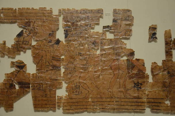 Ausstellung von Mumien, Artefakten und ägyptischen Funden im Ägyptischen Museum von Turin - Foto, Bild