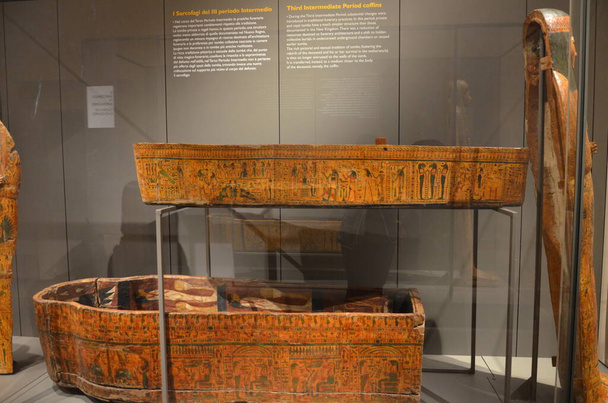 Mostra di mummie, manufatti e reperti egizi al Museo Egizio di Torino - Foto, immagini