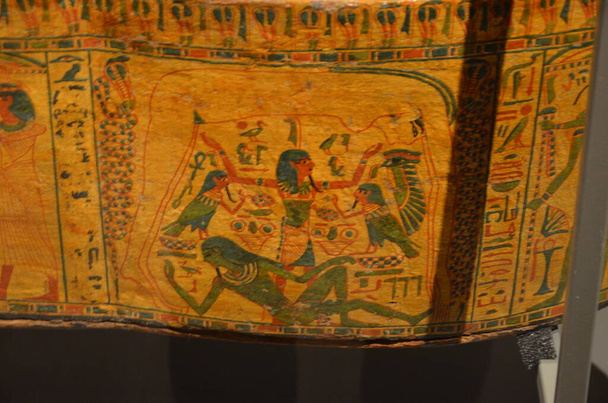 Виставка мумій, артефактів і єгипетських знахідок у Туринському музеї Єгипту. - Фото, зображення