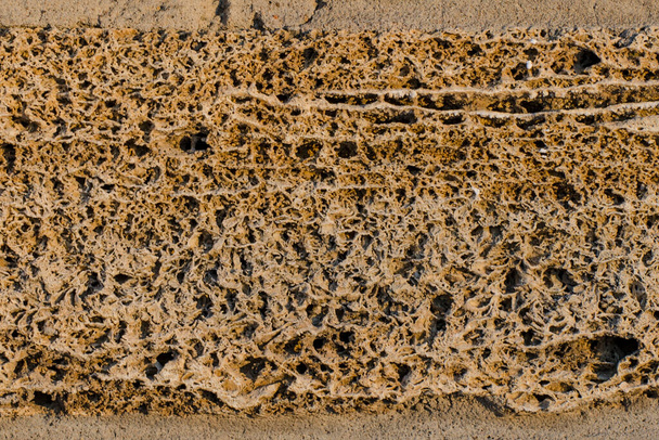 La textura de la coquina. Estructura superficial esponjosa de la cáscara de roca de piedra. - Foto, imagen
