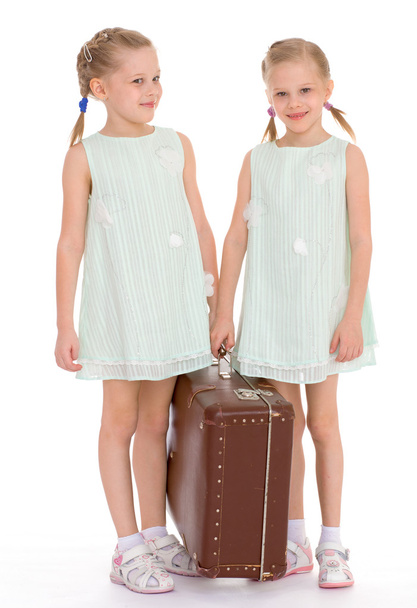  twin sisters with a big old suitcase. - Fotó, kép