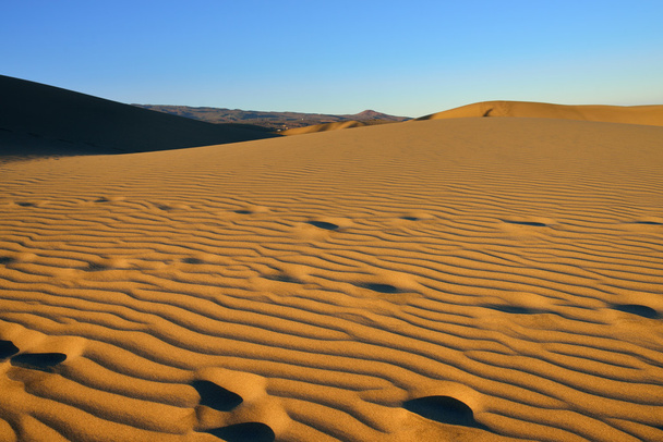 Dune Maspalomas - Photo, Image