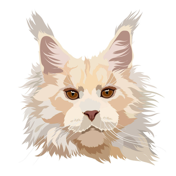 Maine Coon illustrazione vettoriale gatto. Ritratto. - Vettoriali, immagini