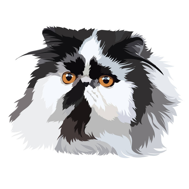 Persian cat black and white vector illustration - Vector, Image