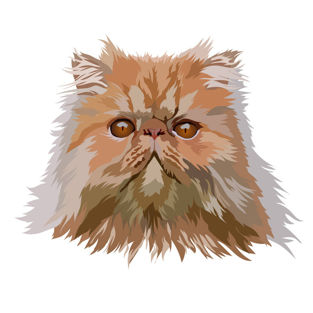 Retrato realista de una esfinge gato vector ilustración - Vector, imagen