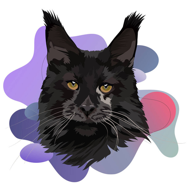 Portrait of a black cat Maine Coon breed, vector head illustration - Vector, Image