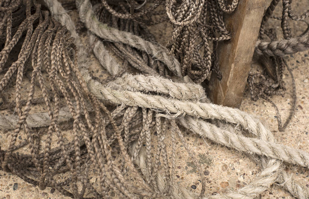 Mušle chycené ve staré rybářské síti - Fotografie, Obrázek