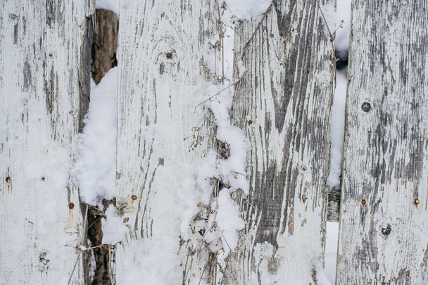 texture of old boards covered with white paint and covered with snow - Foto, imagen