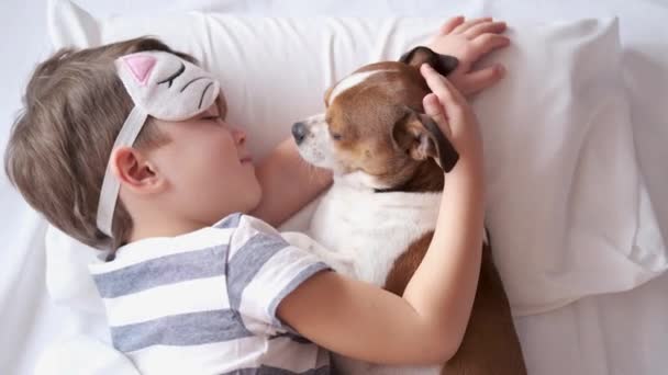  chihuahua hond en kleuter jongen slapen en liggen in wit bed. - Video