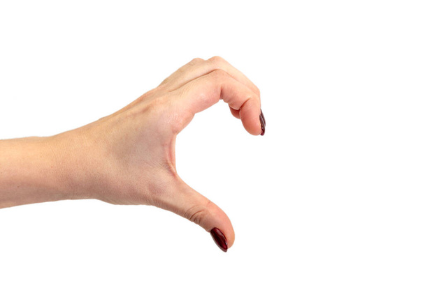 Hand vormt een halve hartvorm. Handen vormen een hart op een witte achtergrond. Valentijnconcept. - Foto, afbeelding