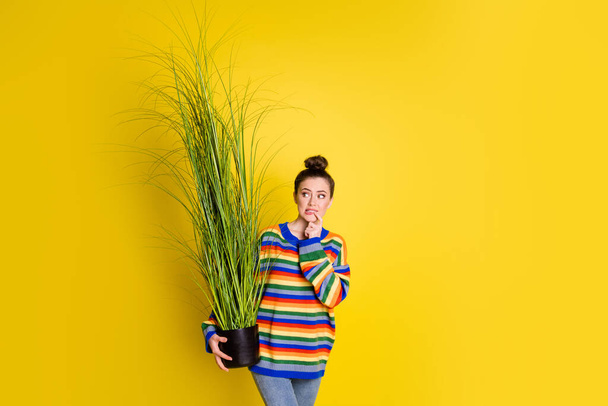 Fénykép kétes aggódó lány viselni szivárvány színű pulóver tartsa növény harapás ajak ujj néz másolás elszigetelt sárga színű háttér - Fotó, kép