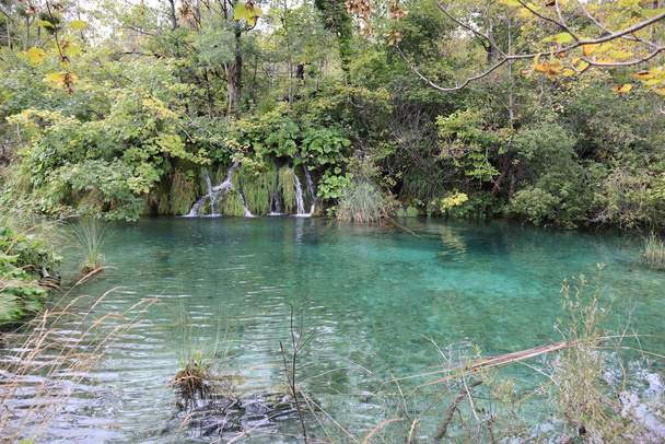 Cascada y lago con agua turquesa clara y transparente a través del cual se puede ver el fondo, árboles con follaje amarillo-verde en un tranquilo día de otoño, Parque Nacional de los Lagos de Plitvice - Foto, imagen