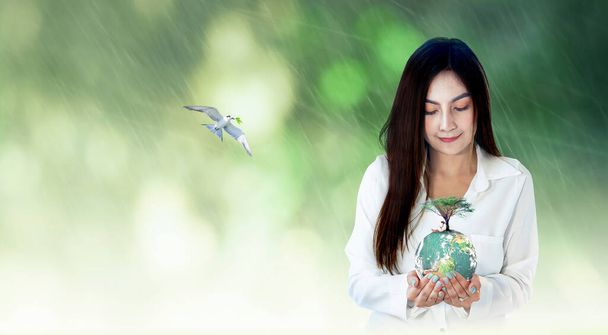 Weltumwelttag-Konzept: Asiatische Frauenhände halten Erdkugel mit großem Baum vor verschwommenem grünen Wald mit Regenhintergrund. Elemente dieses von der NASA bereitgestellten Bildes - Foto, Bild