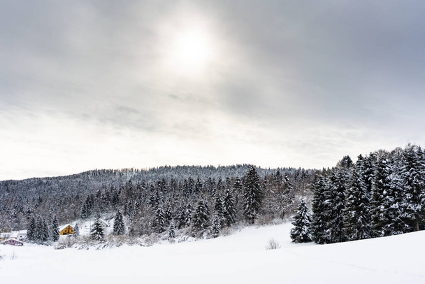 Котедж у сніговому ландшафті в Альтопіано - ді - Азіаго. - Фото, зображення