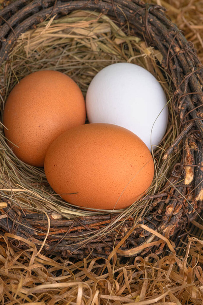 Fresh chicken eggs in a nest on a dark background. - Фото, изображение