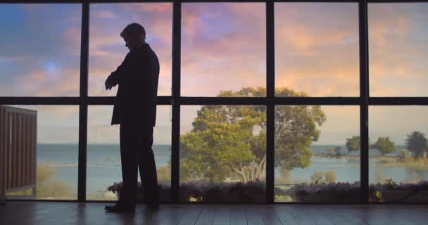 Geschäftsmann, der bei Sonnenuntergang vor einem großen Fenster steht, seine Uhr überprüft, auf jemanden wartet und auf den See blickt. Zeitlupe, Weitschuss. - Filmmaterial, Video