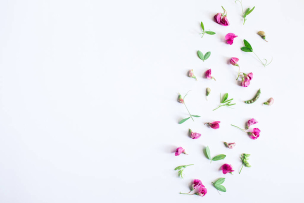 Flowers composition. Pattern made of pink flowers and leaves on white background. Spring, easter, summer concept. Flat lay, top view, copy space. - Foto, immagini