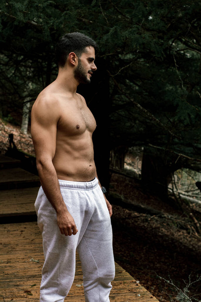 The young muscular hiker is located on a wooden path next to the mountain. - Photo, Image