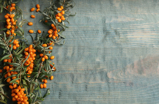 Branches of sea buckthorn on blue wooden table, flat lay. Space for text - Foto, afbeelding