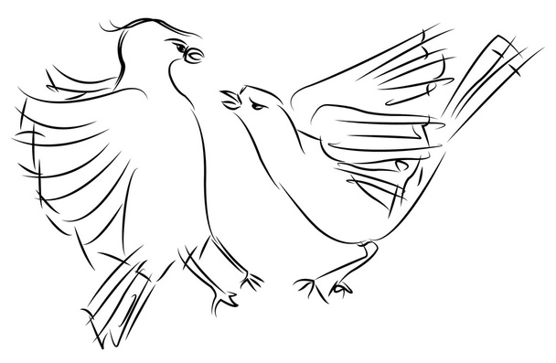 Two sparrows fighting, sketch - Fotografie, Obrázek
