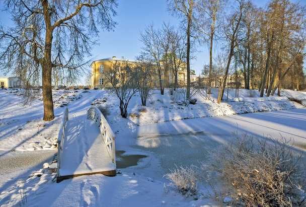 Stroganov palace in snowy scene, Andrianovo, Russia - Photo, Image