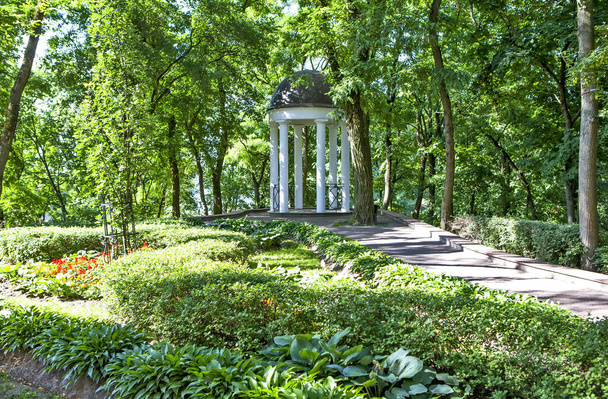 Arbor in het park, paleis en park ensemble. Gomel. Wit-Rusland Datum van filmen 10 juli 2018 - Foto, afbeelding