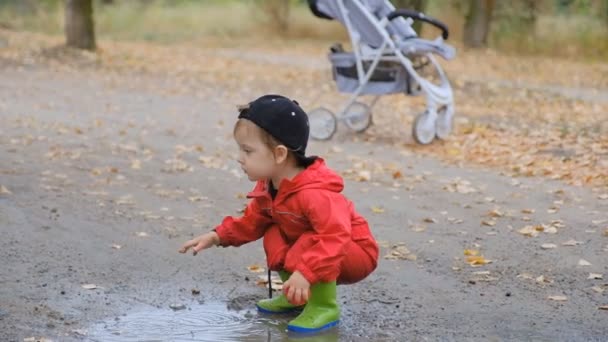 Il bambino gioca in una pozzanghera nel parco dopo la pioggia in estate. - Filmati, video