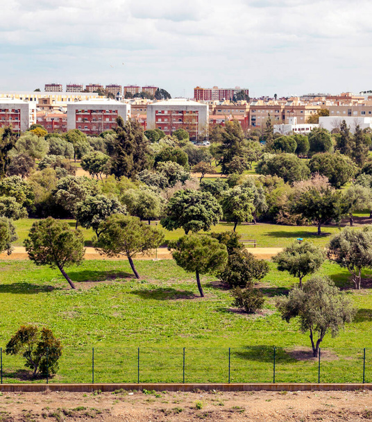 Vejer de la Frontera huizen en velden in Zuid-Spanje op een zonnige dag - Foto, afbeelding
