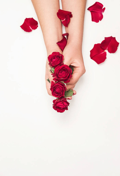 flowers roses in hands of girl, top view, little red roses, red rose petals on white background - Foto, Bild