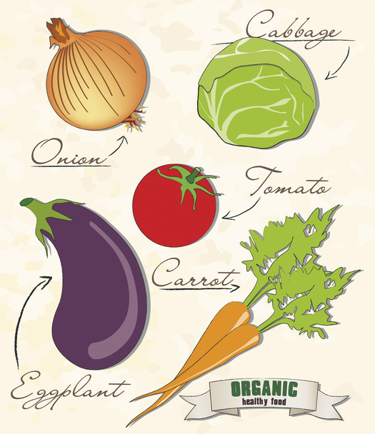 Organic food, onion, cabbage, tomato, eggplant and carrot, vecto - Vektor, obrázek