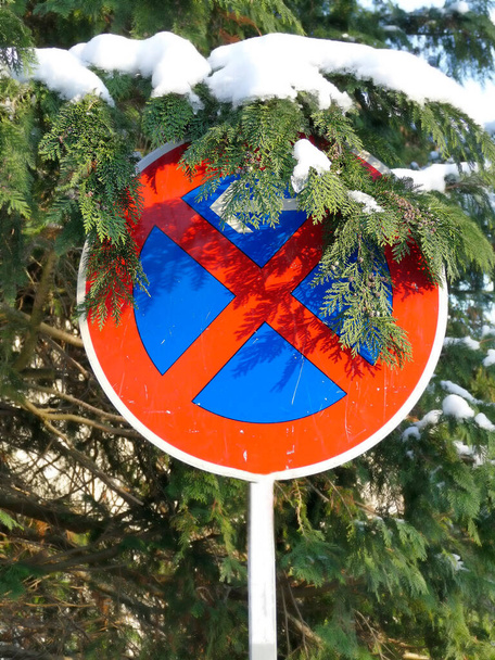 liikenteen pysäytysmerkki lumipeitteisellä puulla - Valokuva, kuva