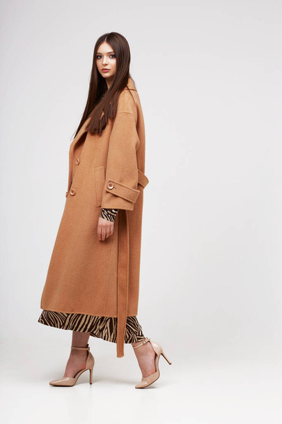 Young elegant woman in trendy brown coat.  Zebra print dress, isolated studio shot - Photo, Image