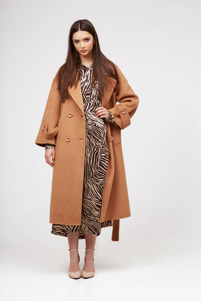Young elegant woman in trendy brown coat.  Zebra print dress, isolated studio shot - Foto, Imagen