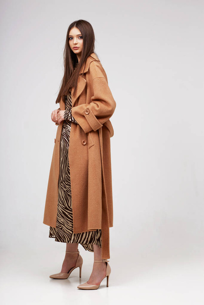 Young elegant woman in trendy brown coat.  Zebra print dress, isolated studio shot - Fotoğraf, Görsel