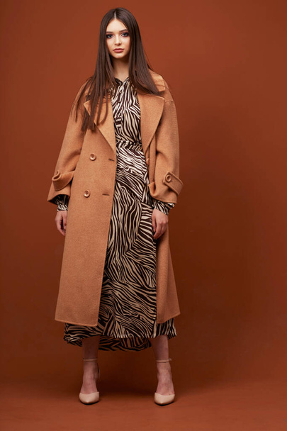 Young elegant woman in trendy brown coat.  Zebra print dress, isolated studio shot - Foto, afbeelding